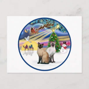 Xmas Magic (R) - Two Siamese cats Holiday Postcard