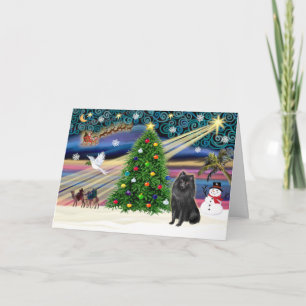 Xmas Magic-Schipperke Holiday Card