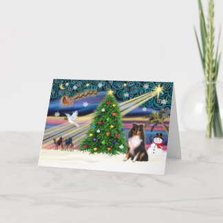 Xmas Magic-SHELTIE-Tri Holiday Card