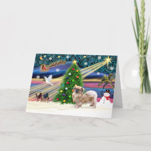 Xmas Magic-Tibetan Spaniel Holiday Card