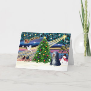 Xmas Magic-Tibetan Terrier (BW) Holiday Card