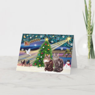 Xmas Magic - Two Maine Coon cats Holiday Card