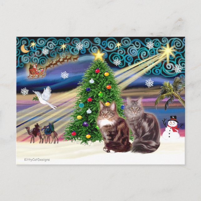 Xmas Magic - Two Maine Coon cats Holiday Postcard (Front)