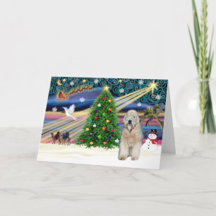 Xmas Magic - Wheaten Terrier - Customised Holiday Card