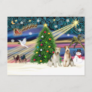 Xmas Magic-Wire Fox Terrier PAIR Holiday Postcard