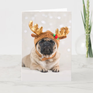Xmas Pug Holiday Card