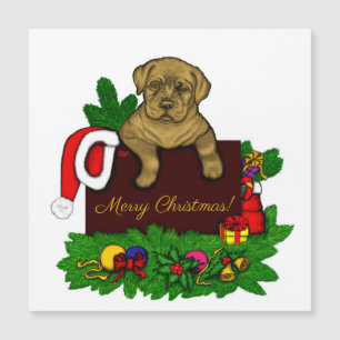 XMas Puppy