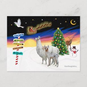 Xmas Signs - Mama Llama and Baby Holiday Postcard