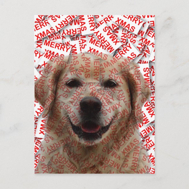 Xmas Smiling Golden Retriever Dog Holiday Postcard (Front)