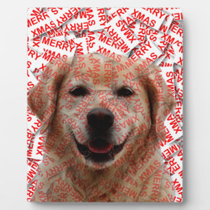 Xmas Smiling Golden Retriever Dog Plaque