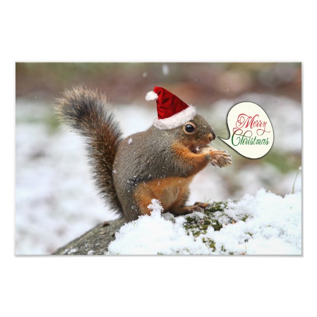 Xmas Squirrel in Snow Photo Print (Front)