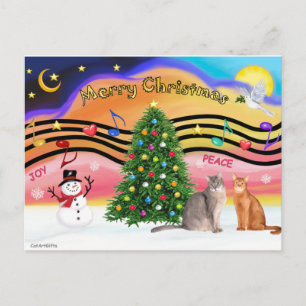 Xmas Sunrise 2 - Two Abyssinian cats Holiday Postcard