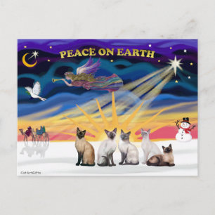 Xmas Sunrise - 5 Siamese cats Holiday Postcard