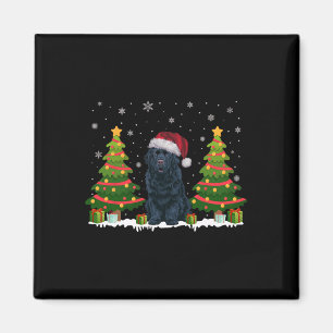 Xmas Tree Light Newfoundland Dog Santa Hat Christm Magnet