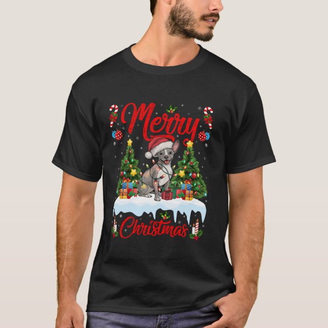 Xmas Tree Lighting Santa Hat Mexican Hairless Dogs T-Shirt (Front)