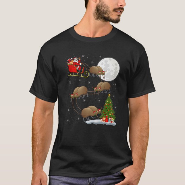 Xmas Tree Lights Funny Santa Riding Kiwi Bird Chri T-Shirt (Front)