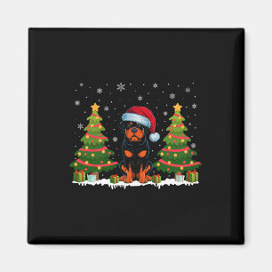 Xmas Tree Lights Rottweiler Dog Santa Hat Christma Magnet