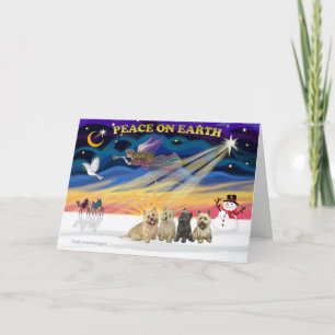 XmasSunrise-4 Cairn Terriers Holiday Card