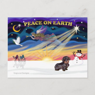 XmasSunrise-WireHaired Dachshund Holiday Postcard