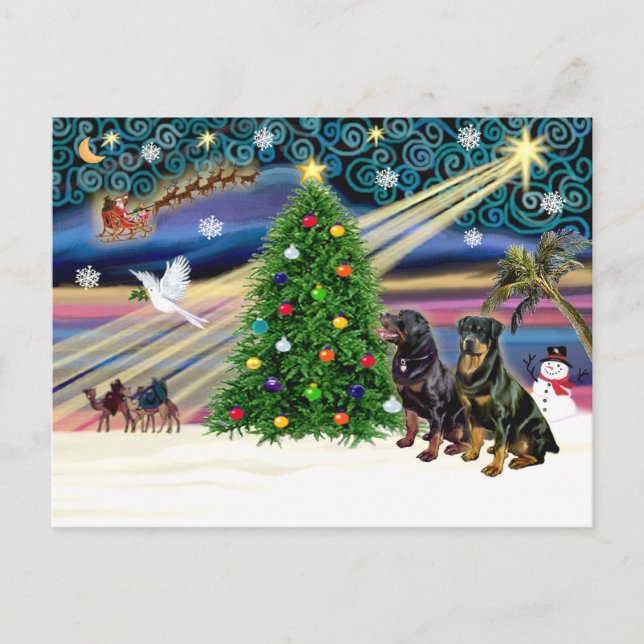 Xms Magic-2 ROTTWEILERS Holiday Postcard (Front)