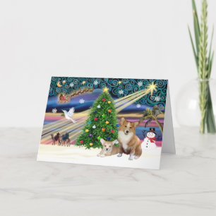 Xms Magic-2Corgis-Pem+pup Holiday Card