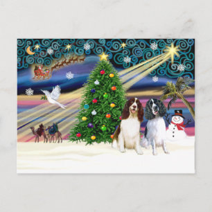Xms Magic-2EngSpringer LivWht+Blk Postcard