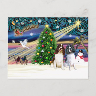 Xms Magic-2EngSpringer LivWht+Blk Postcard