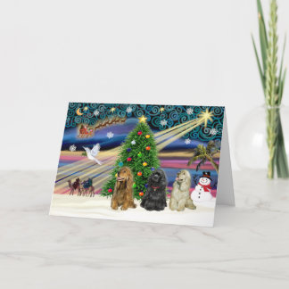 Xms Magic-3Cockers-blk-brwn-fawn Holiday Card