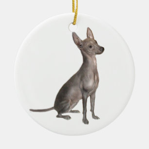 Xoloitcuintle (Xolo) (B) Ceramic Tree Decoration