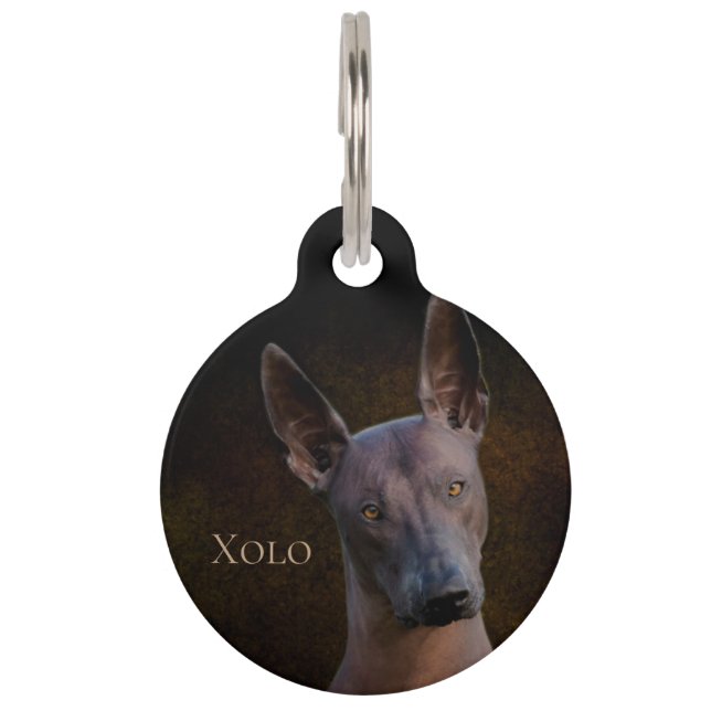 Xoloitzcuintle Pet Tag (Front)