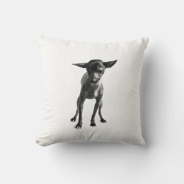 Xoloitzcuintle Pillow (Front)