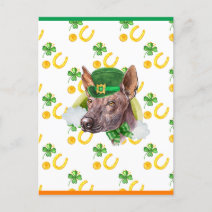 Xoloitzcuintle Shamrock St. Patricks Day Holiday Postcard
