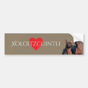 Xoloitzcuintli Bumper Sticker