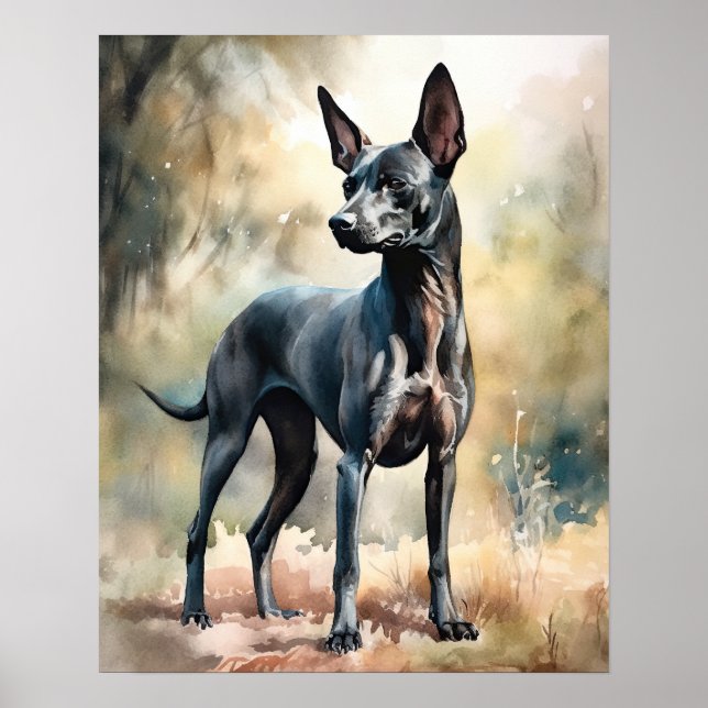 Xoloitzcuintli Dog Art Print Poster  (Front)