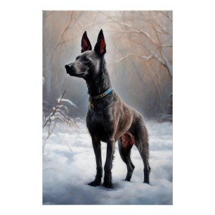 Xoloitzcuintli Let It Snow Christmas Poster