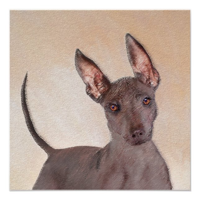 Xoloitzcuintli Painting - Cute Original Dog Art Poster (Front)