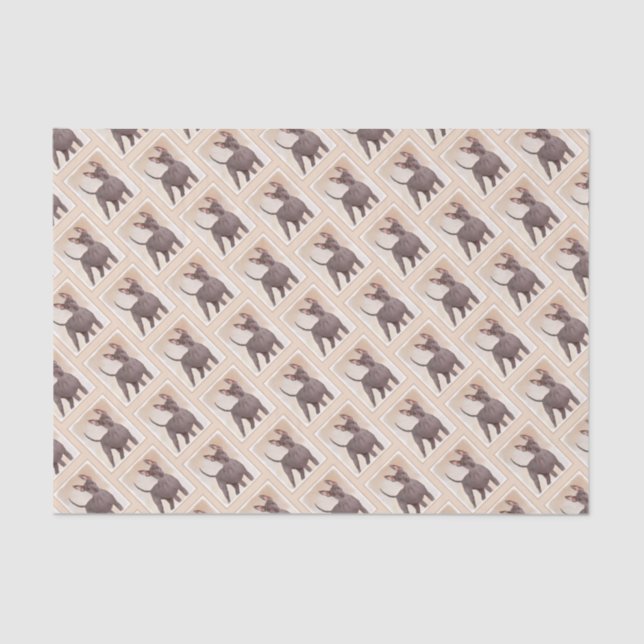 Xoloitzcuintli Painting - Cute Original Dog Art Tissue Paper (Front)