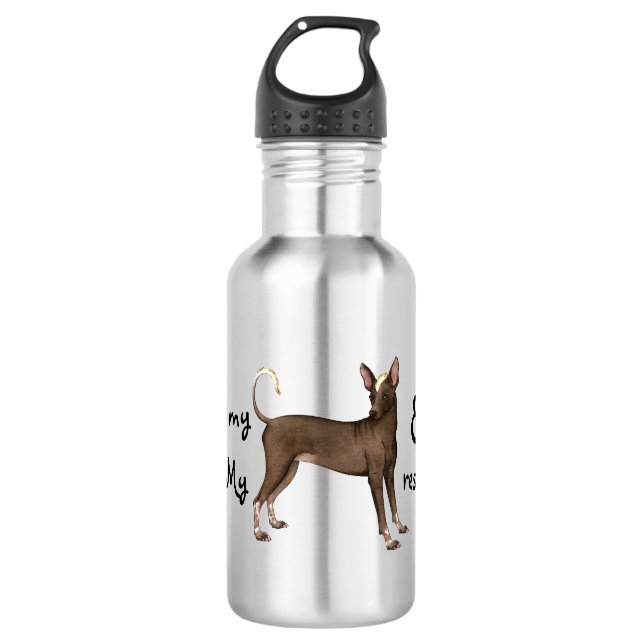 Xoloitzcuintli Rescue 532 Ml Water Bottle (Front)