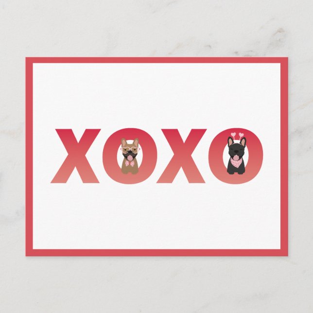 XOXO French Bulldogs Postcard (Front)