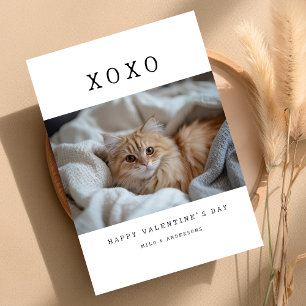XOXO Simple Retro Cat Kitten Photo Valentines Holiday Card