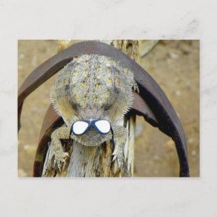 xoxo, Troy...Hi Cherie...LOL...or is it O.M.G. Postcard