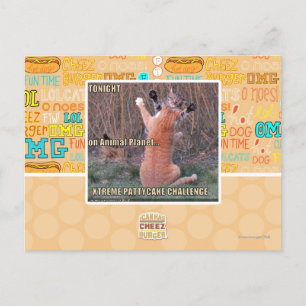Xtreme PattyCake Challenge Postcard