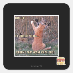 Xtreme PattyCake Challenge Square Sticker