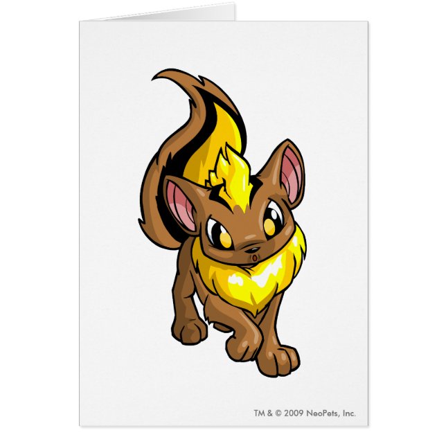 Xweetok Yellow (Front)