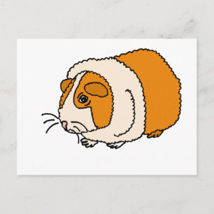 XX- Cute Guinea Pig Cartoon Postcard