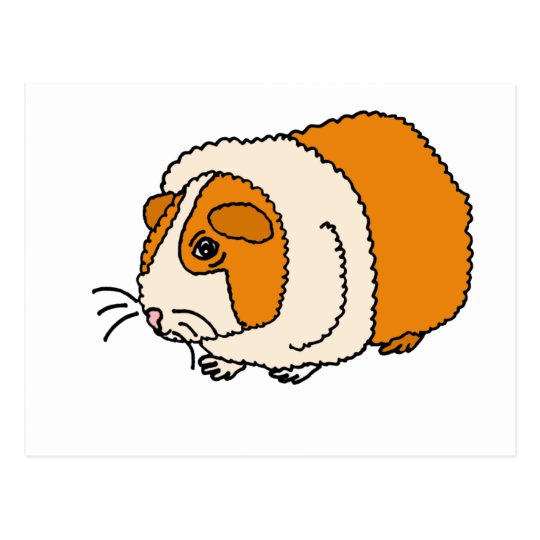 Xx Cute Guinea Pig Cartoon Postcard Zazzle Com Au Download 18 guinea pig cartoon free vectors. zazzle