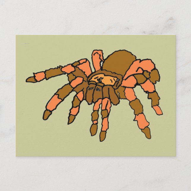 XX- Hilarious Tarantula Spider Postcard (Front)