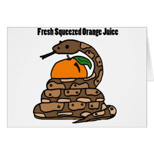XX- Python Squeezing Orange