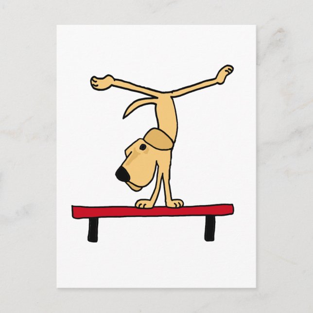 XX- Yellow Labrador on Balance Beam Cartoon Postcard (Front)