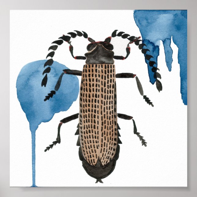 Xylobanus Japonicus Poster (Front)